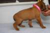 img_8389_small.jpg