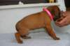 img_8390_small.jpg