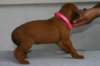 img_8395_small.jpg