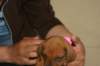 img_8401_small.jpg
