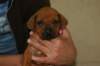 img_8403_small.jpg
