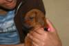 img_8405_small.jpg