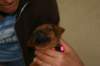img_8406_small.jpg