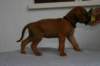img_8414_small.jpg