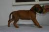 img_8415_small.jpg