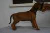 img_8416_small.jpg
