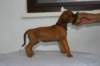 img_8417_small.jpg