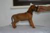 img_8418_small.jpg