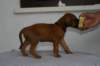 img_8420_small.jpg
