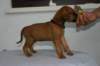 img_8422_small.jpg
