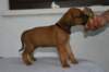 img_8423_small.jpg