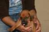 img_8424_small.jpg