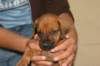 img_8425_small.jpg