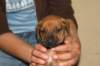img_8426_small.jpg