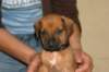 img_8427_small.jpg