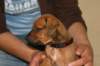 img_8428_small.jpg