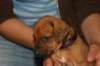 img_8430_small.jpg