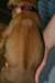 img_8432_small.jpg