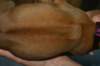 img_8434_small.jpg
