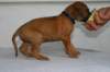 img_8436_small.jpg