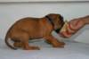 img_8437_small.jpg