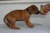 img_8438_small.jpg