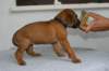 img_8441_small.jpg