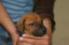 img_8449_small.jpg