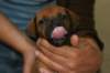 img_8450_small.jpg