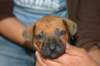 img_8452_small.jpg