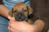 img_8453_small.jpg
