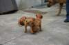 img_8525_small.jpg