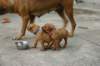 img_8526_small.jpg