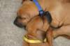 img_8557_small.jpg
