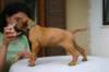 img_8566_small.jpg