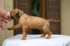 img_8577_small.jpg