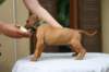 img_8584_small.jpg