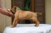 img_8585_small.jpg