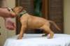 img_8587_small.jpg