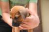 img_8617_small.jpg