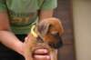 img_8624_small.jpg