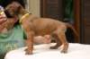 img_8629_small.jpg