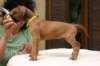 img_8630_small.jpg