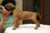 img_8631_small.jpg