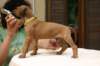 img_8633_small.jpg
