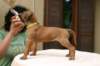 img_8635_small.jpg
