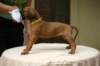 img_8636_small.jpg