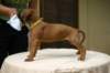 img_8638_small.jpg