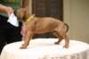 img_8639_small.jpg