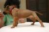 img_8670_small.jpg